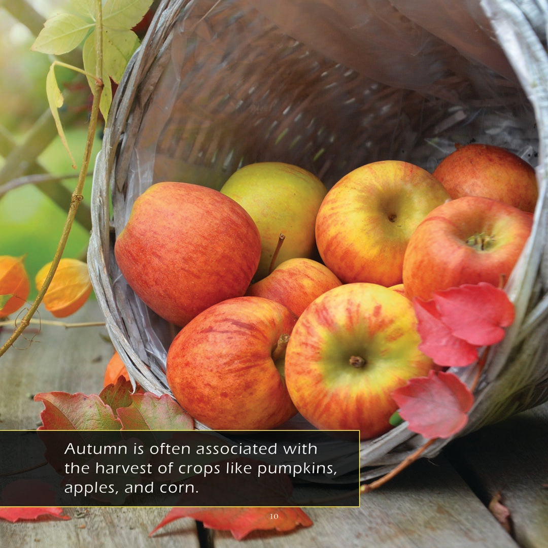 Autumn! A My Incredible World Picture Book for Children