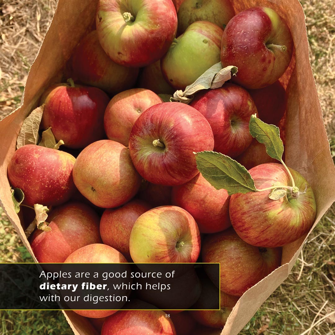 Apples! A My Incredible World Picture Book for Children
