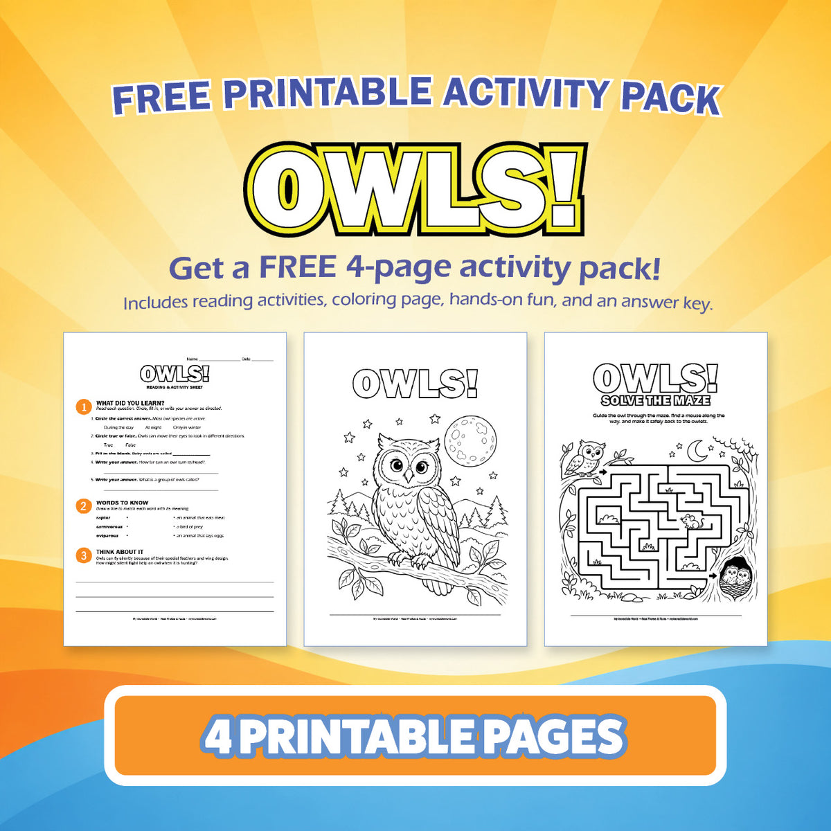 Free Owls Printable Activity Pack for Kids