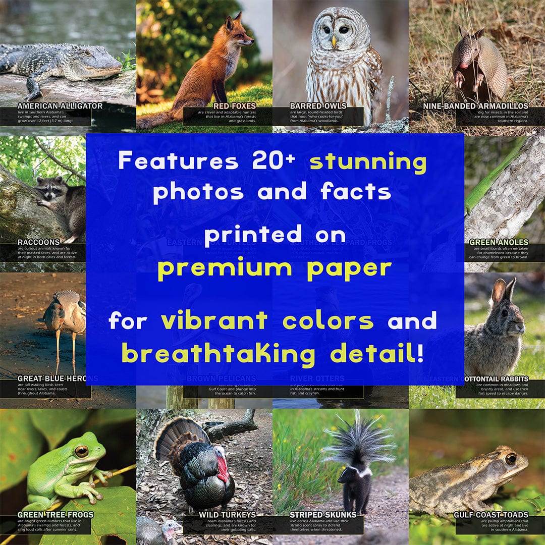 Animals of Alabama! A My Incredible World Picture Book for Children