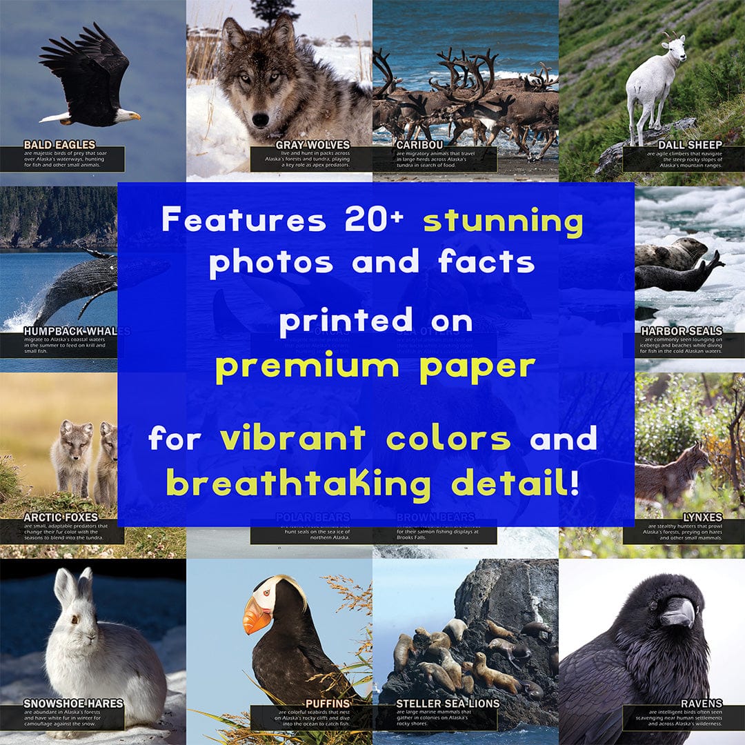 Animals of Alaska! A My Incredible World Picture Book for Children