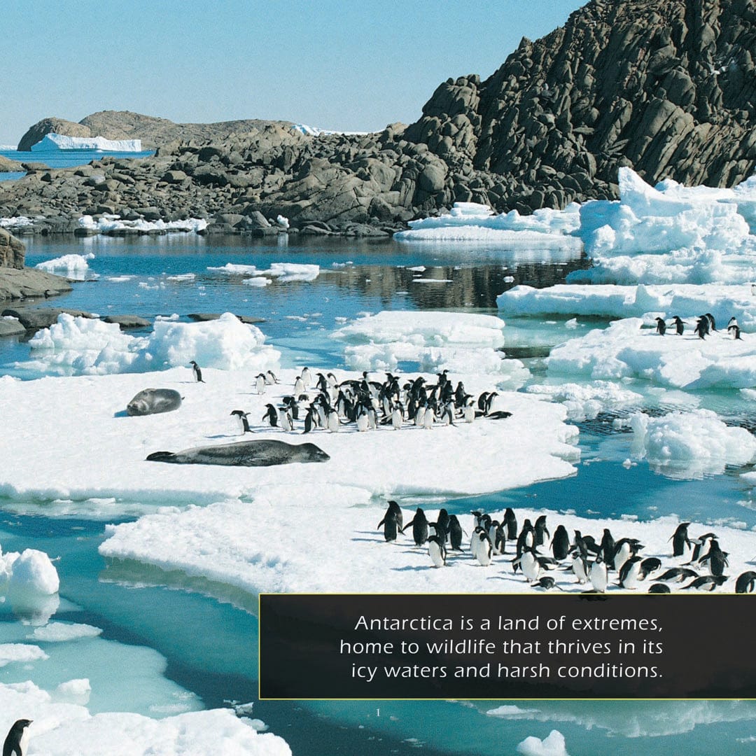 Animals of Antarctica! A My Incredible World Picture Book for Children
