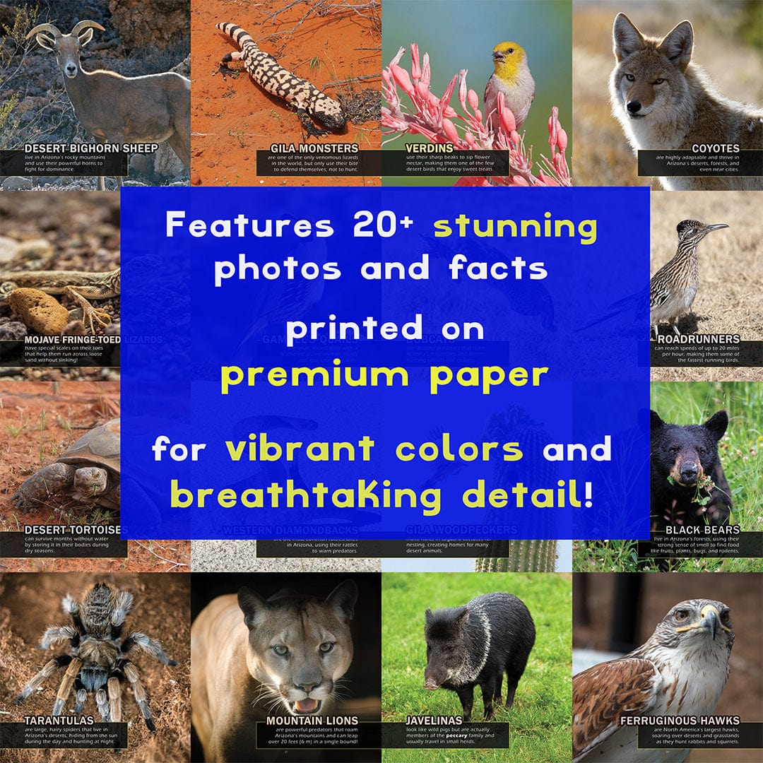 Animals of Arizona! A My Incredible World Picture Book for Children