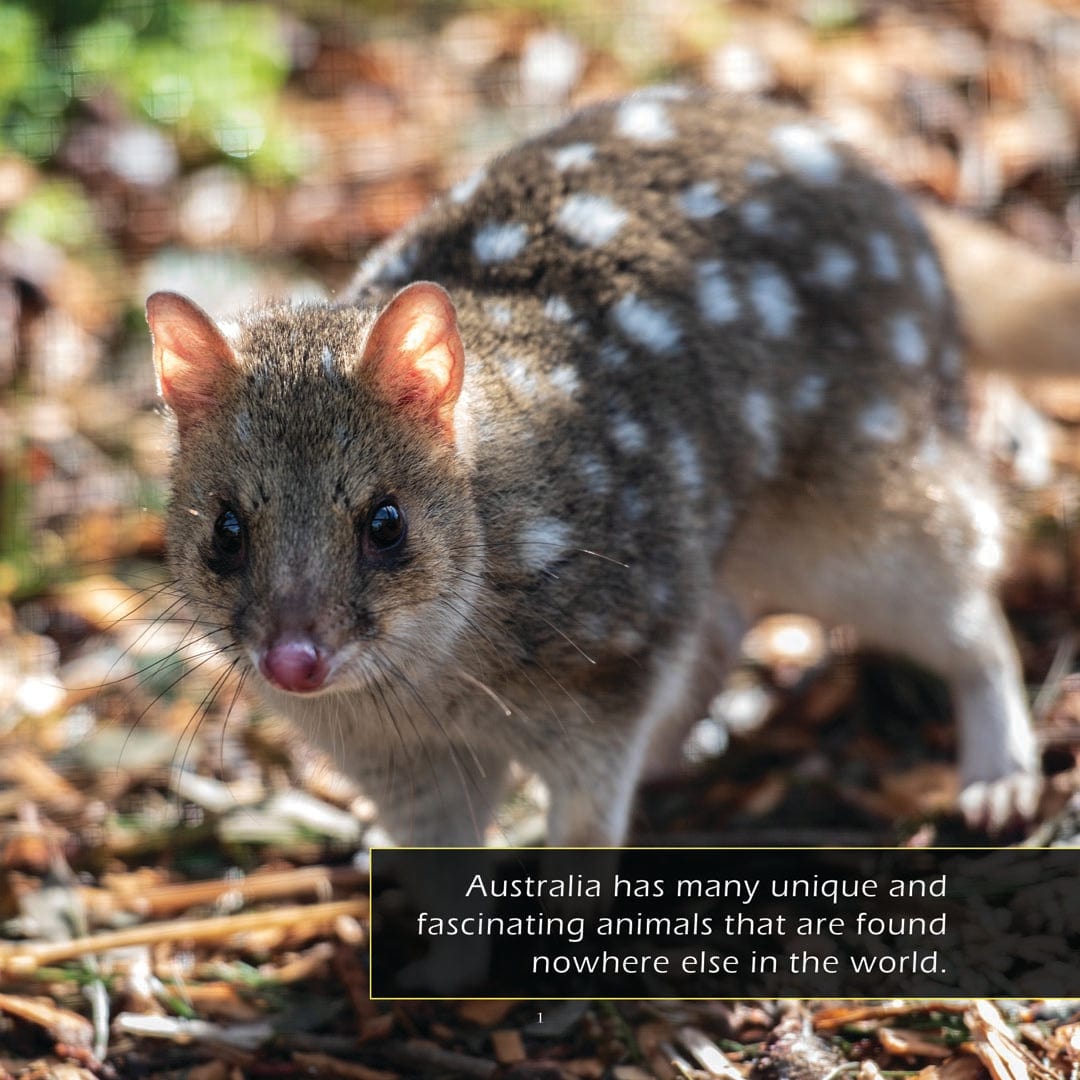 Animals of Australia! A My Incredible World Picture Book for Children