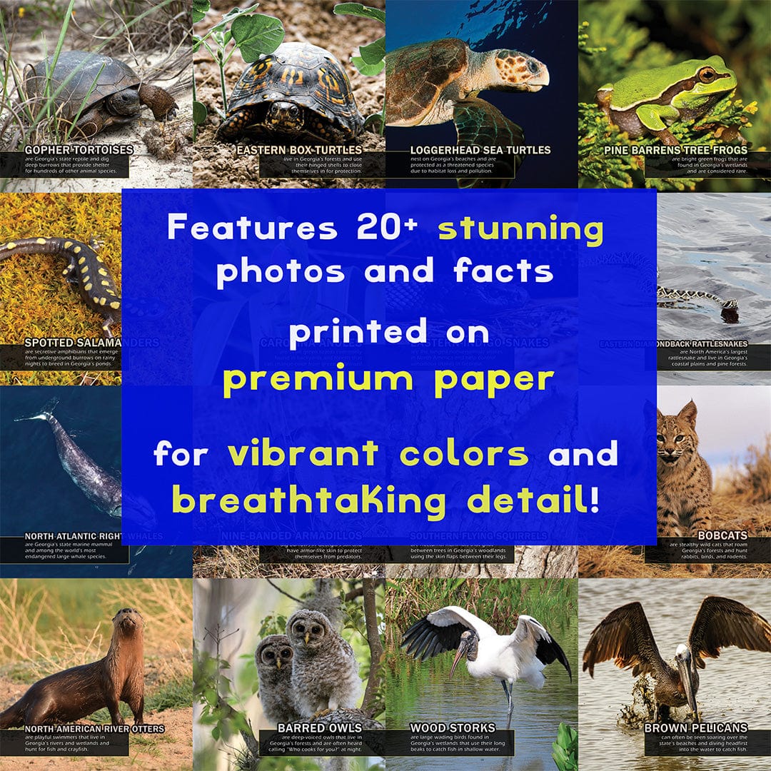 Animals of Georgia! A My Incredible World Picture Book for Children