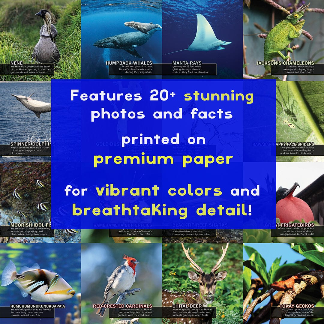 Animals of Hawaii! A My Incredible World Picture Book for Children