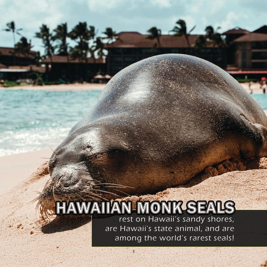 Animals of Hawaii! A My Incredible World Picture Book for Children