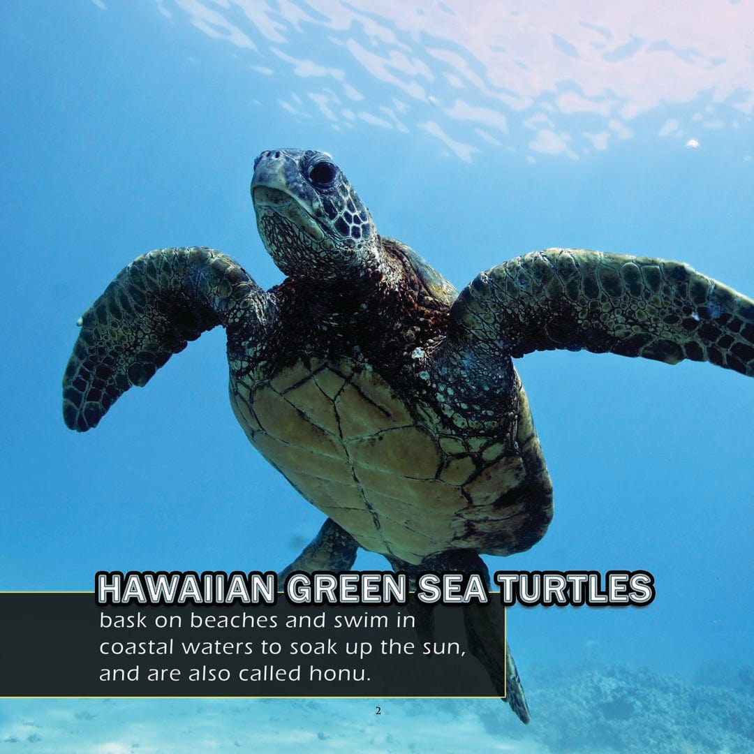 Animals of Hawaii! A My Incredible World Picture Book for Children