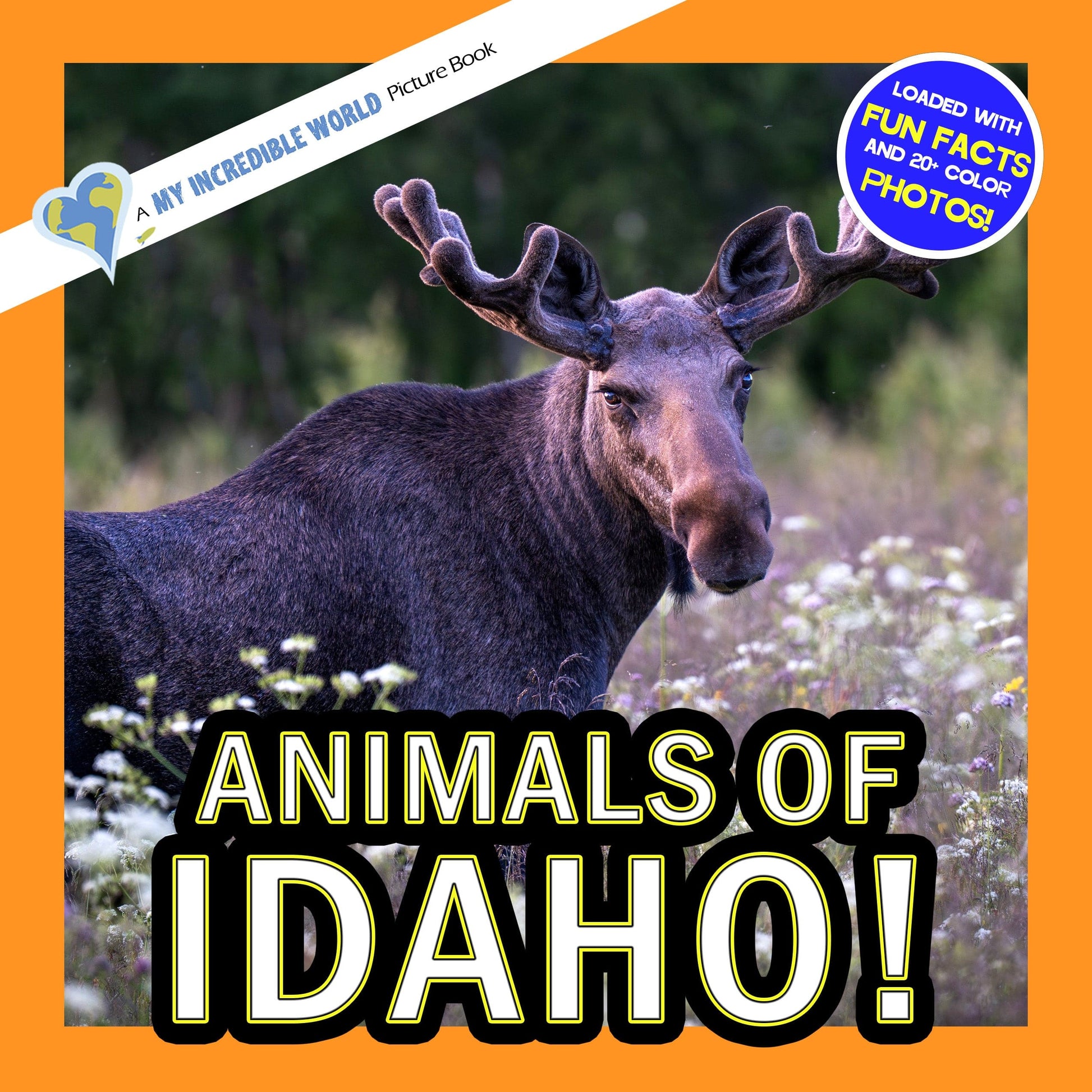 Animals of Idaho! A My Incredible World Picture Book for Children