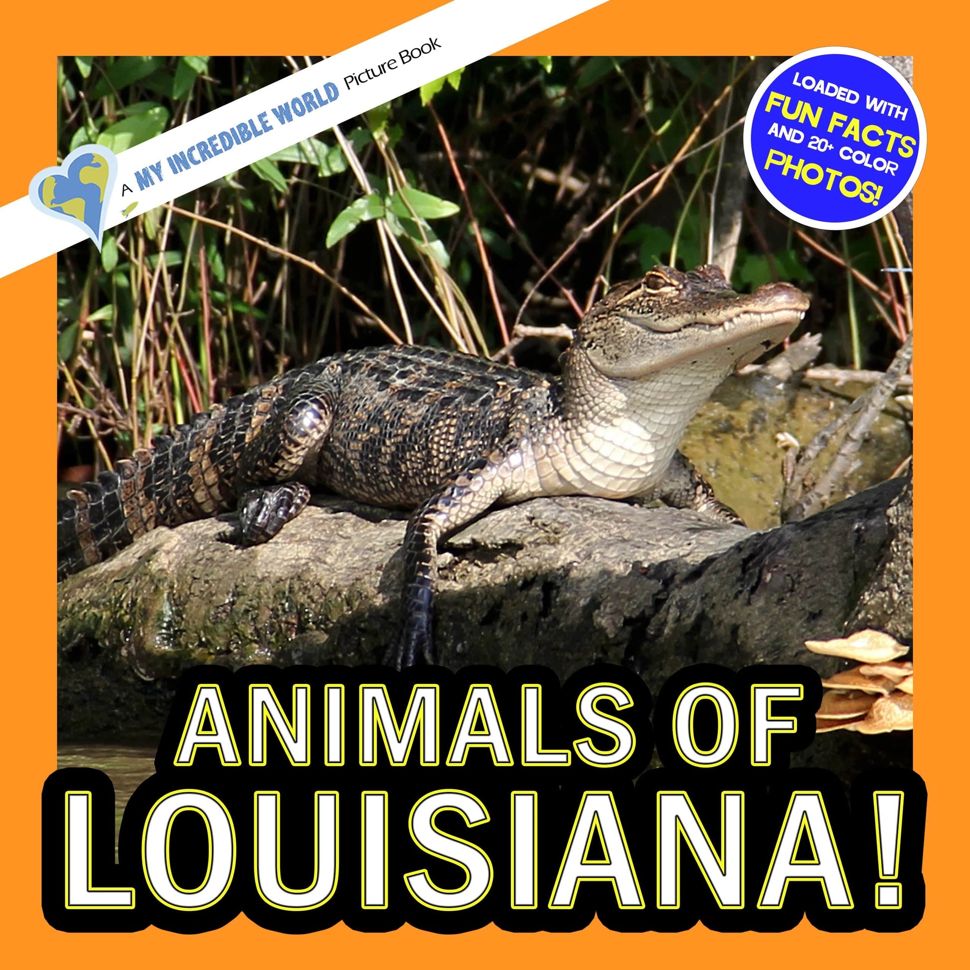 Animals of Louisiana! A My Incredible World Picture Book for Children