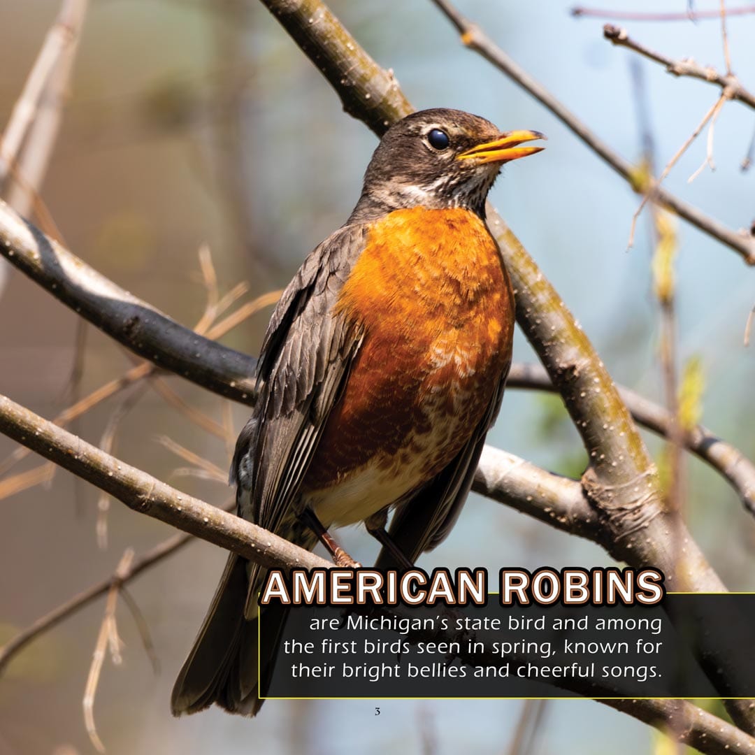 Animals of Michigan! A My Incredible World Picture Book for Children