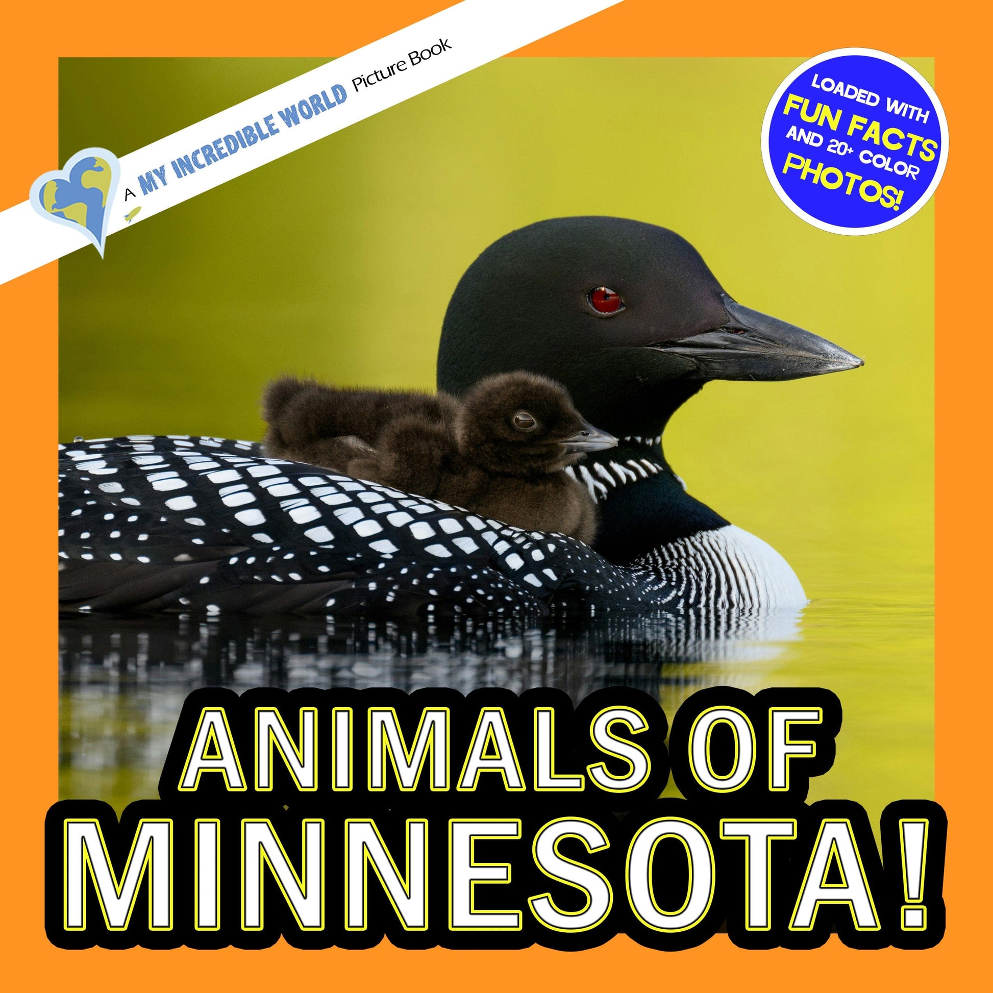 Animals of Minnesota! A My Incredible World Picture Book for Children