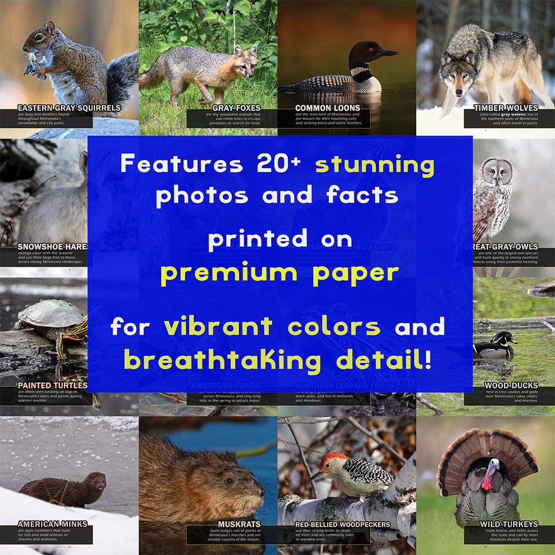 Animals of Minnesota! A My Incredible World Picture Book for Children