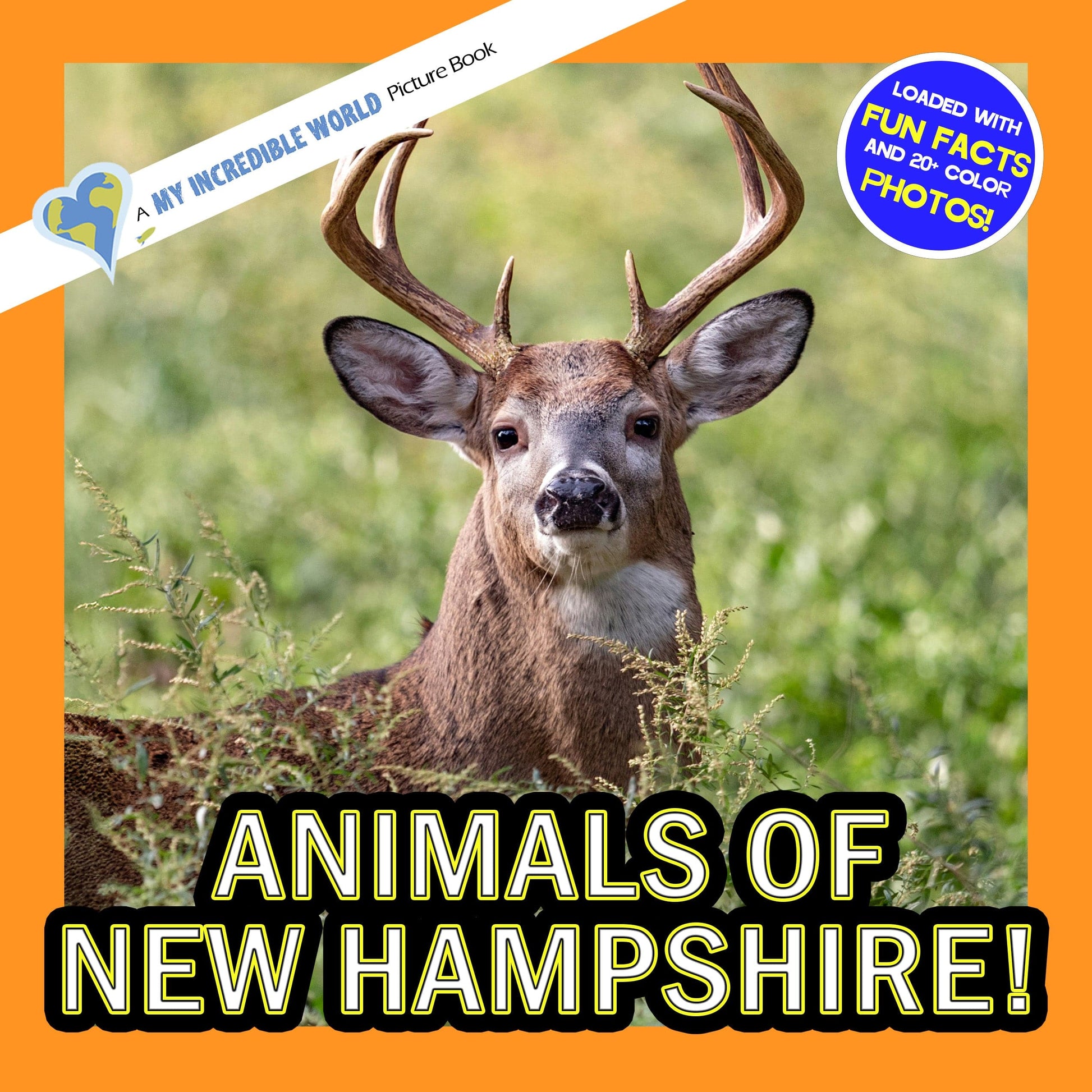 Animals of New Hampshire! A My Incredible World Picture Book for Children