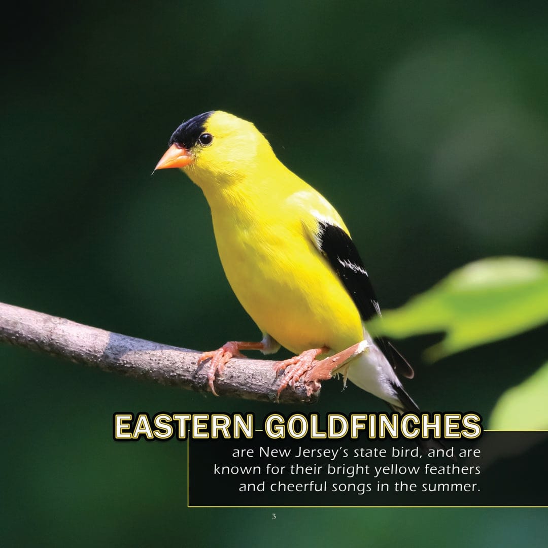 Animals of New Jersey! A My Incredible World Picture Book for Children