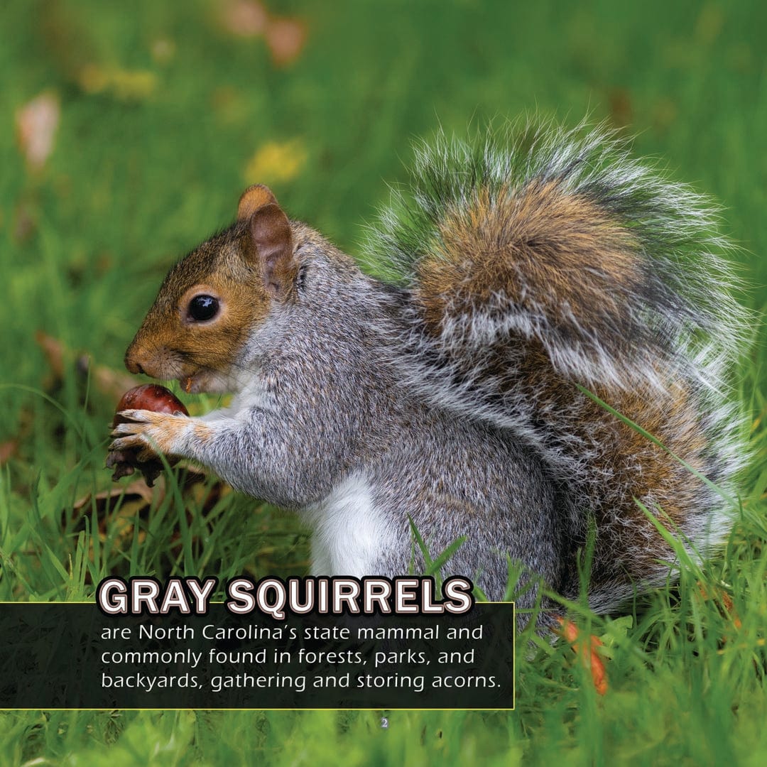 Animals of North Carolina! A My Incredible World Picture Book for Children