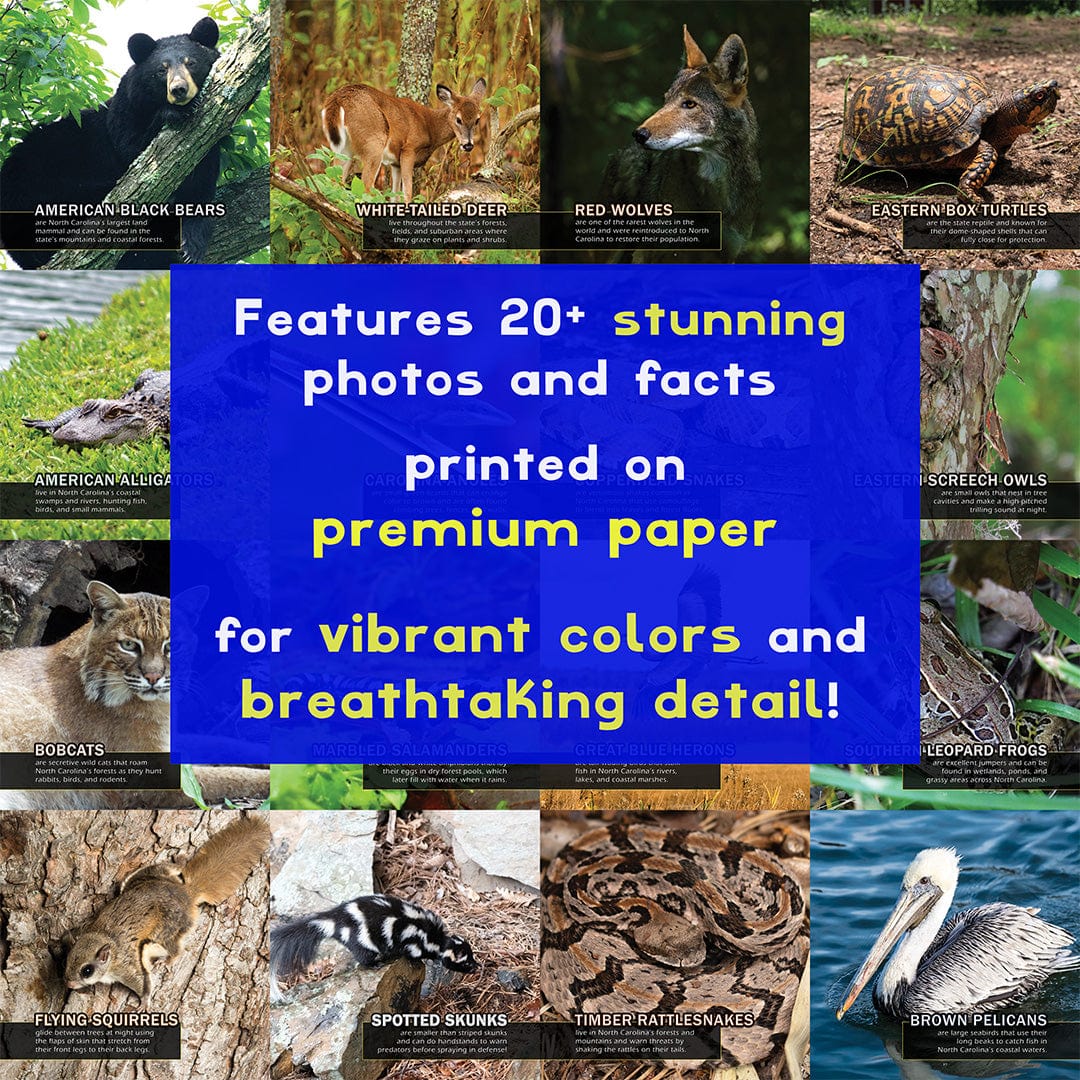 Animals of North Carolina! A My Incredible World Picture Book for Children