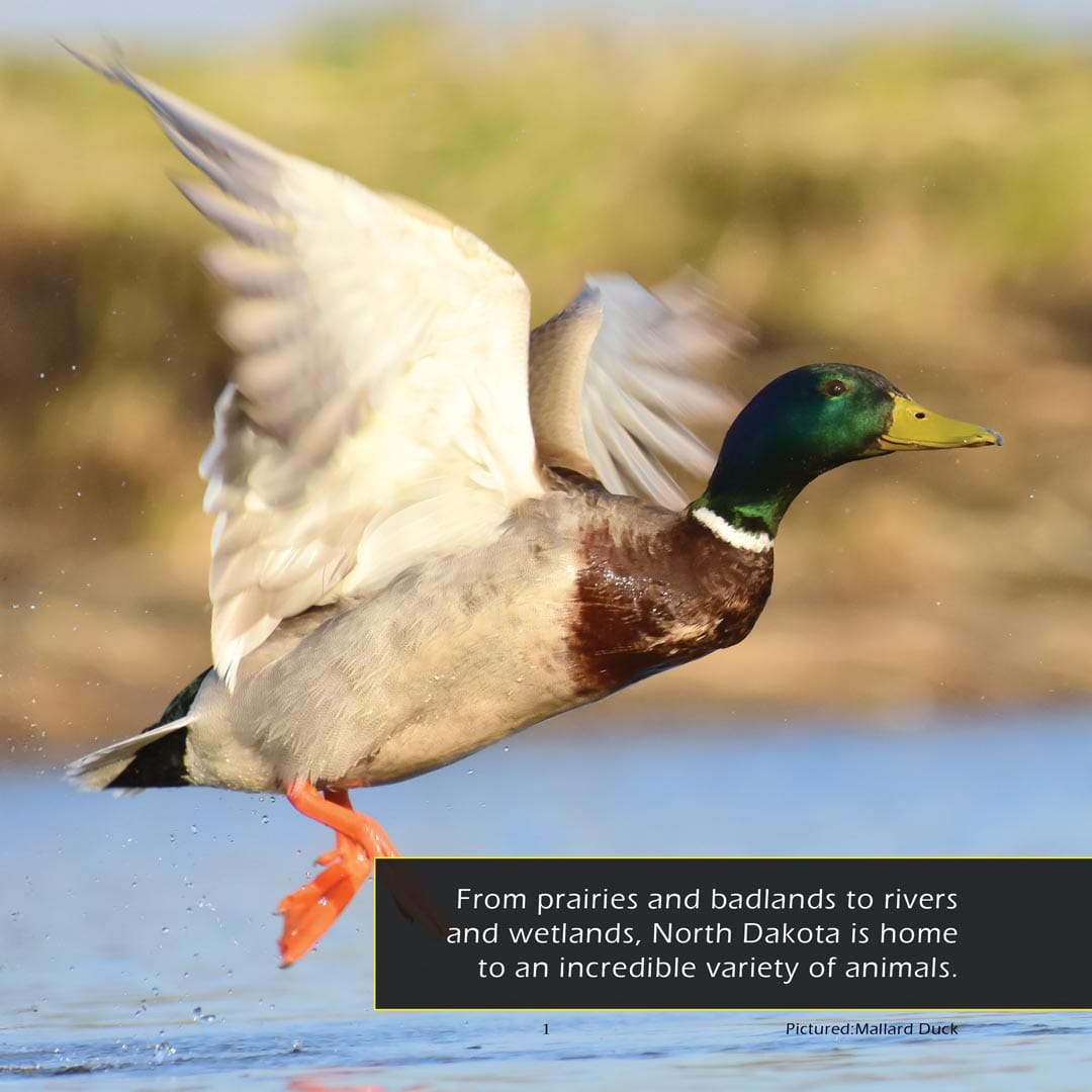 Animals of North Dakota! A My Incredible World Picture Book for Children