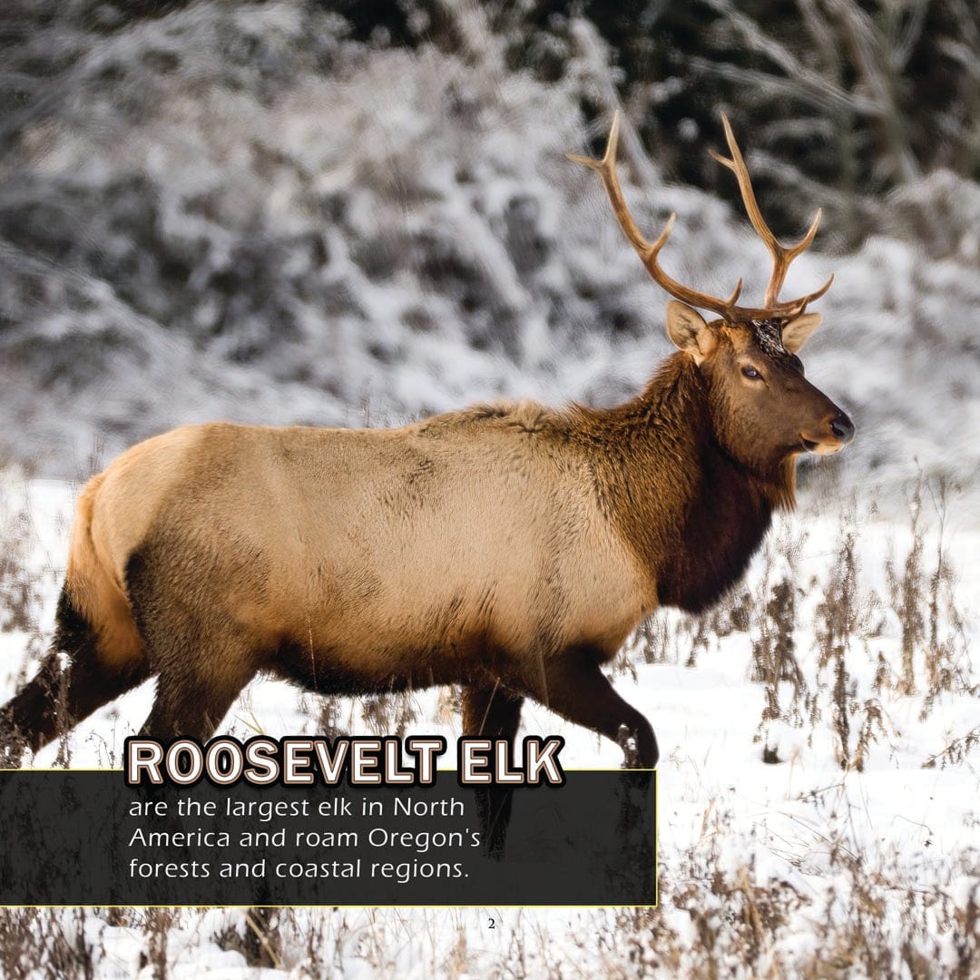 Animals of Oregon! A My Incredible World Picture Book for Children