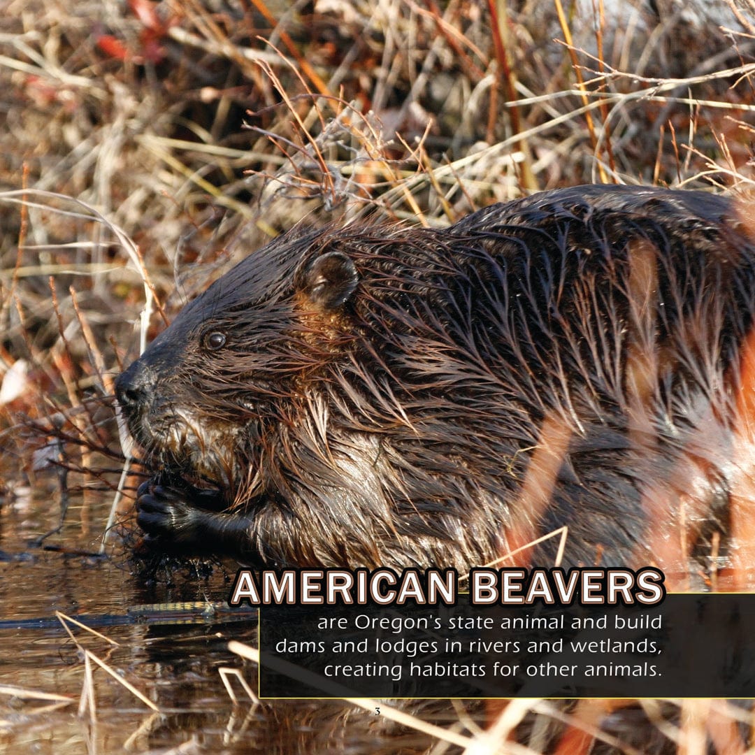 Animals of Oregon! A My Incredible World Picture Book for Children