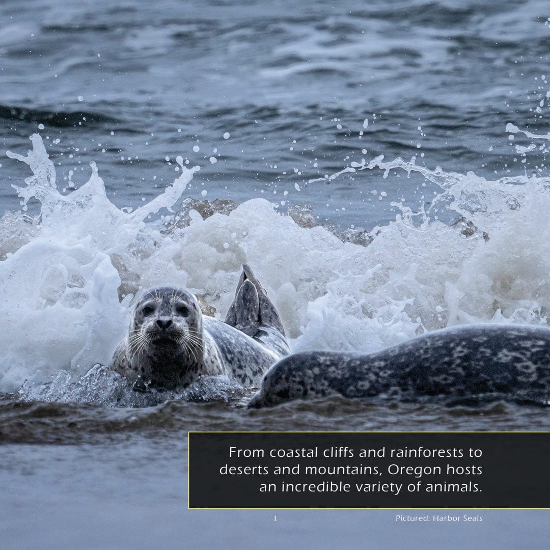 Animals of Oregon! A My Incredible World Picture Book for Children