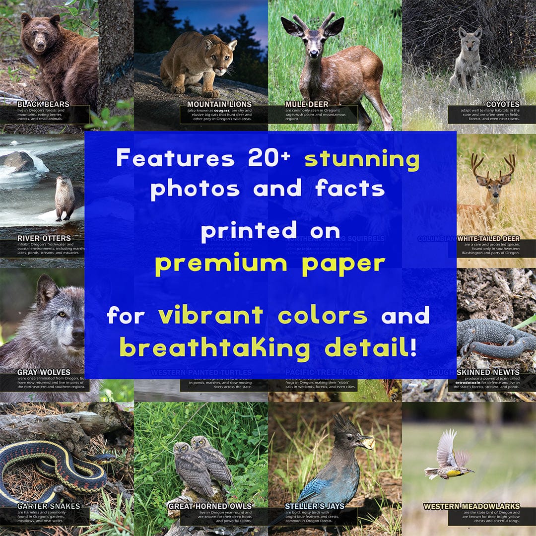 Animals of Oregon! A My Incredible World Picture Book for Children