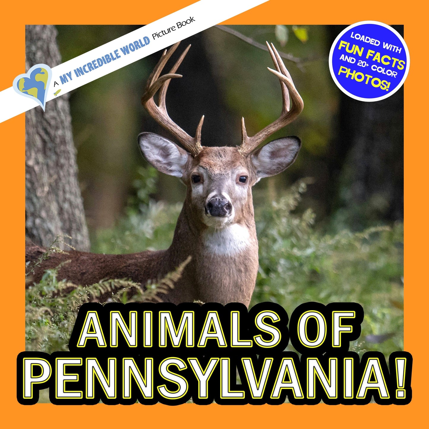 Animals of Pennsylvania! A My Incredible World Picture Book for Children