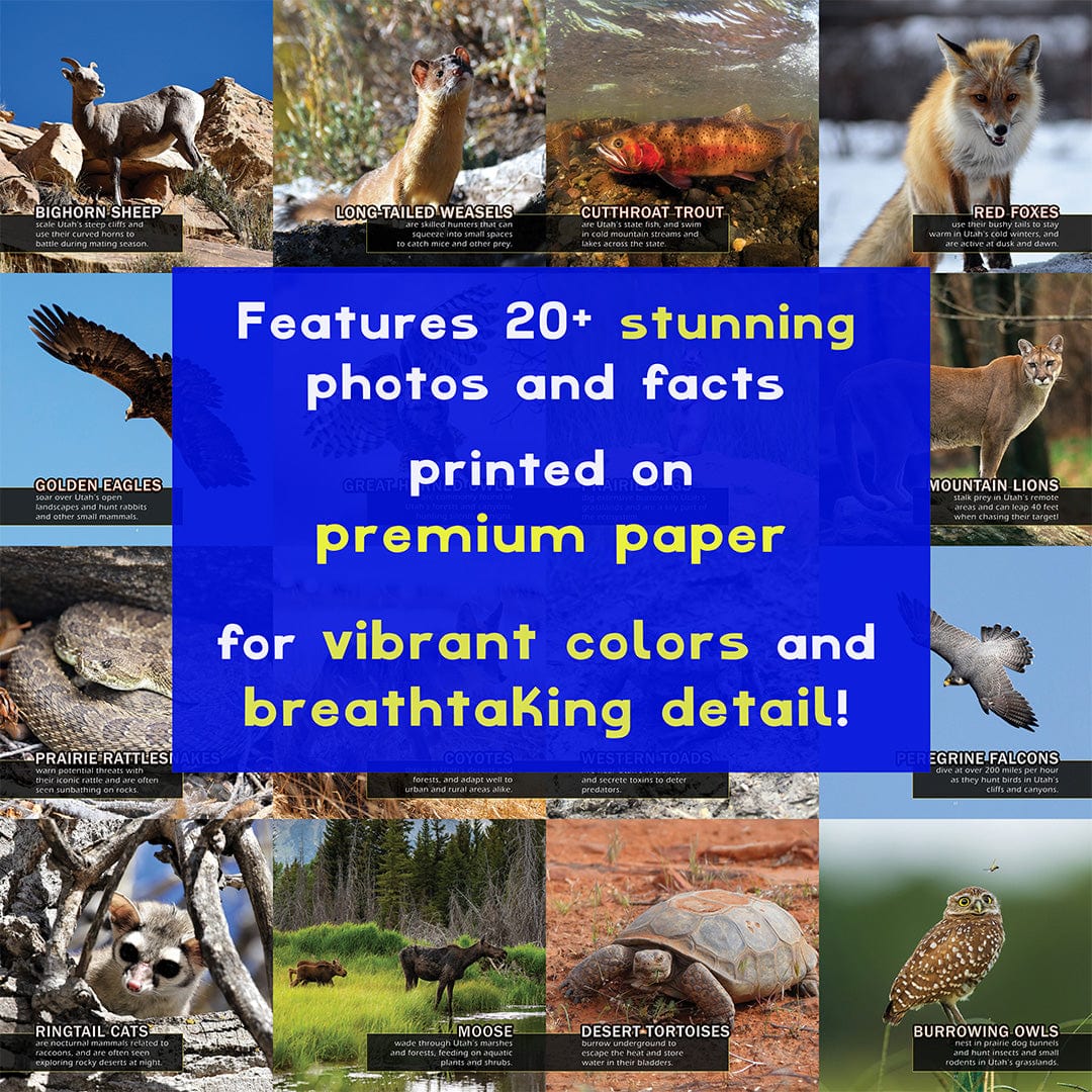 Animals of Utah! A My Incredible World Picture Book for Children