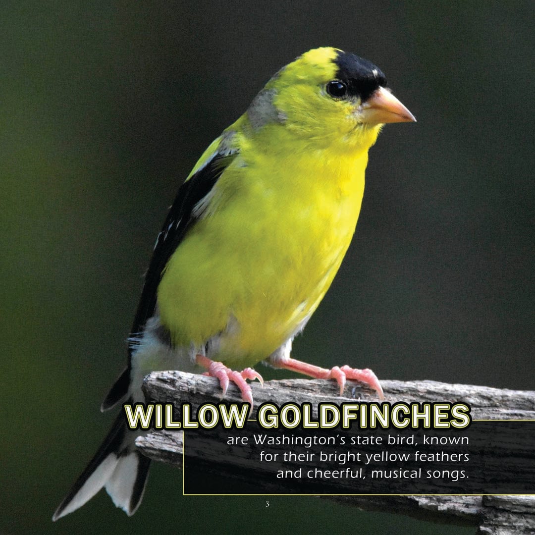 Animals of Washington! A My Incredible World Picture Book for Children