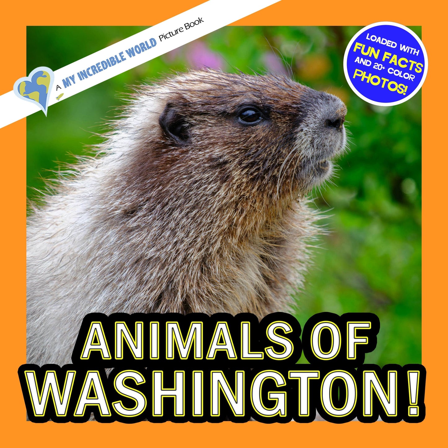 Animals of Washington! A My Incredible World Picture Book for Children