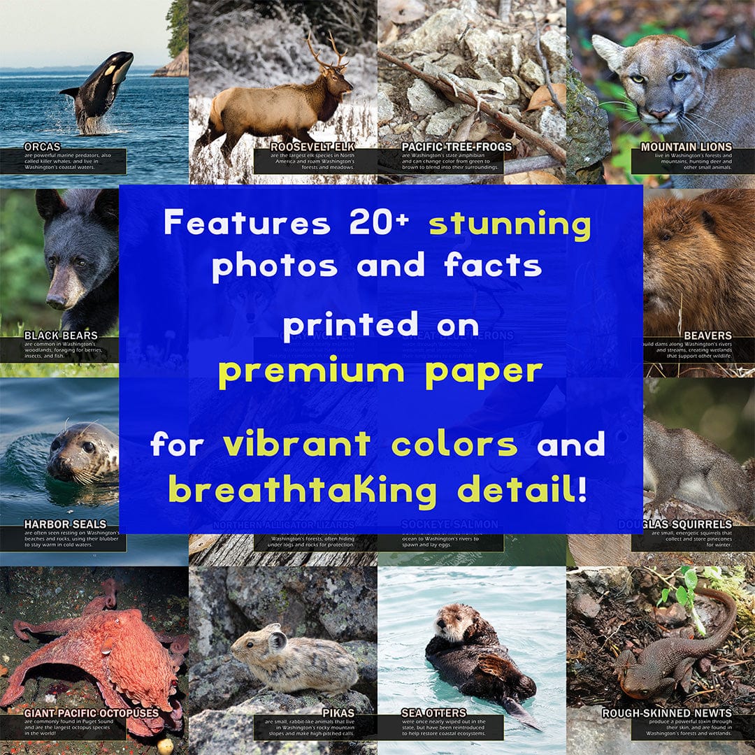 Animals of Washington! A My Incredible World Picture Book for Children