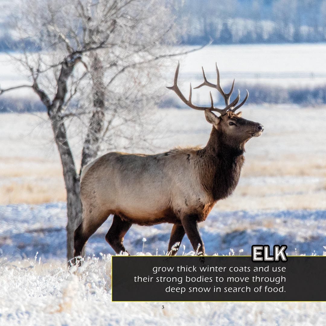 Animals of Wyoming! A My Incredible World Picture Book for Children