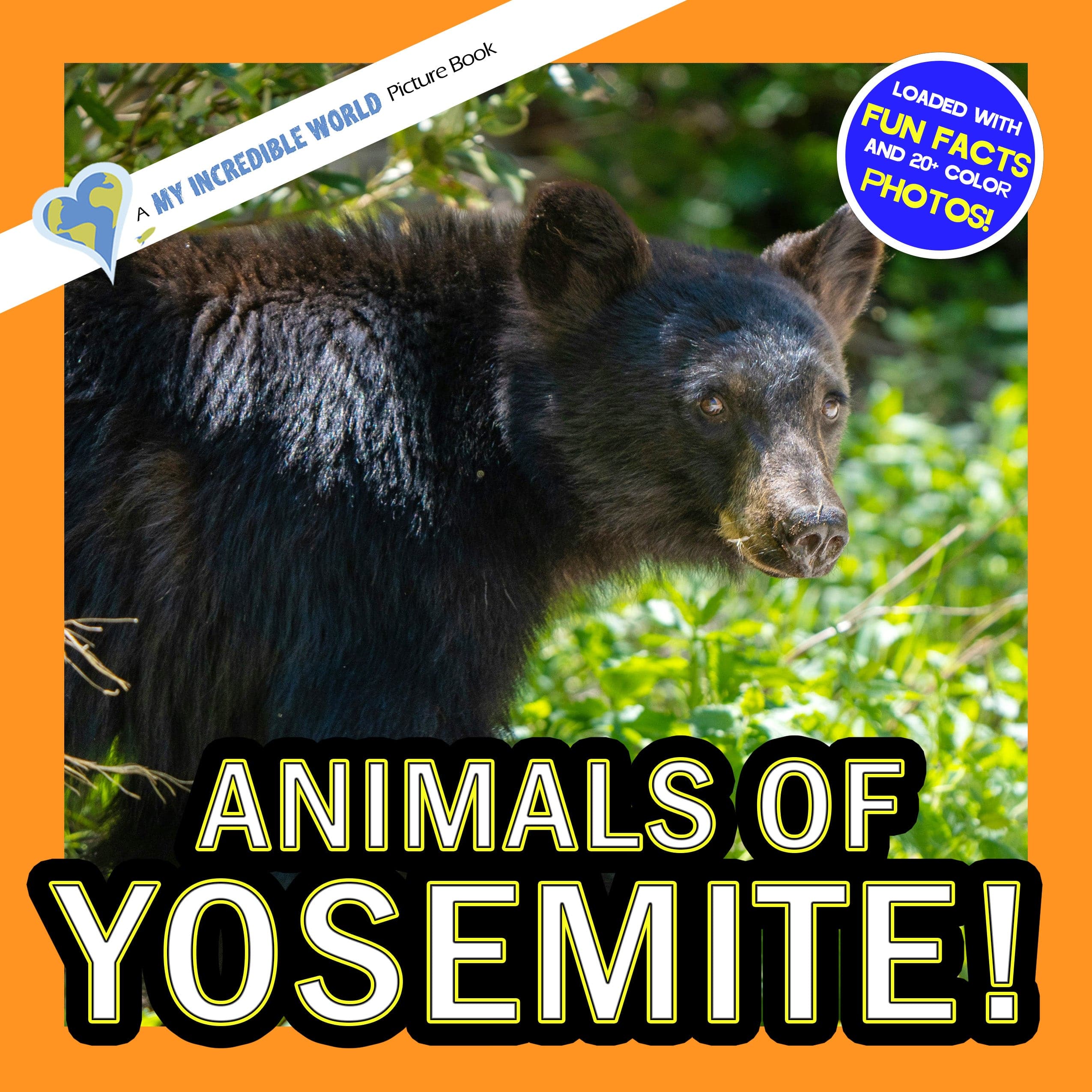 Animals of Yosemite! A My Incredible World Picture Book for Children