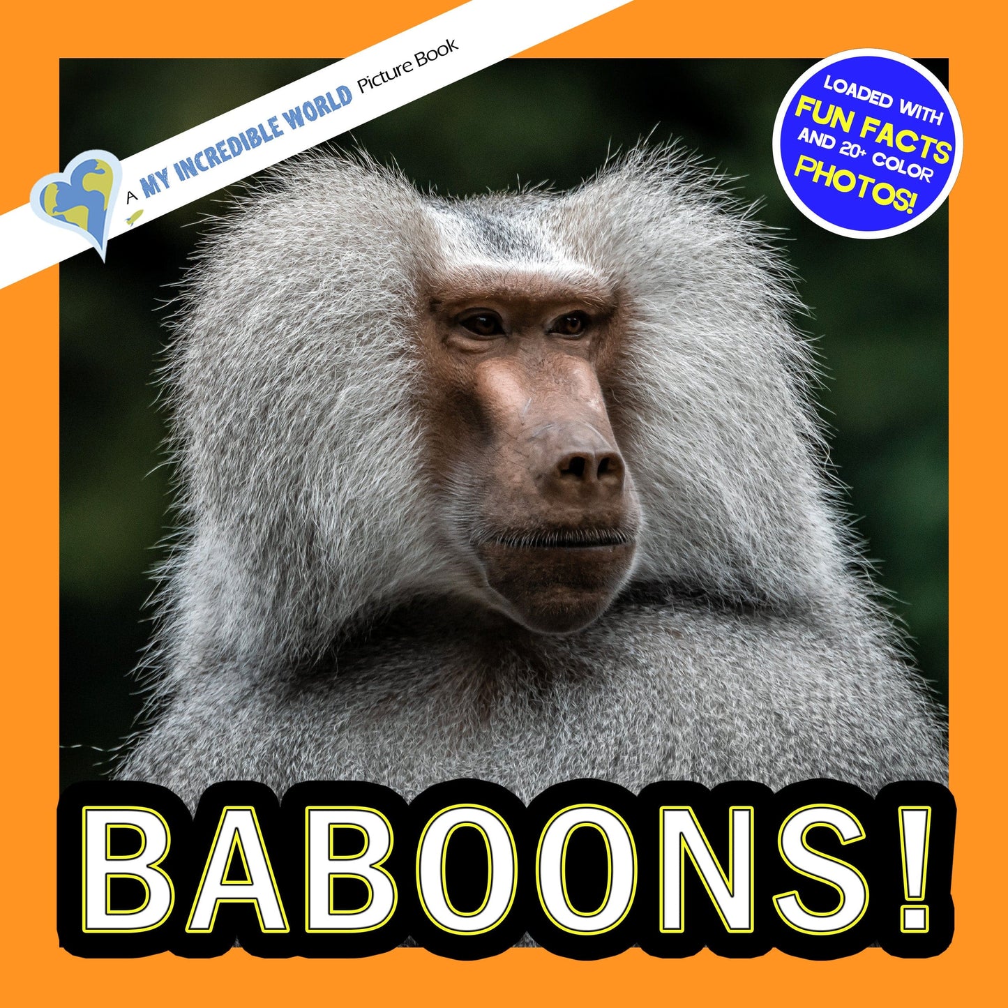 Baboons! A My Incredible World Picture Book for Children