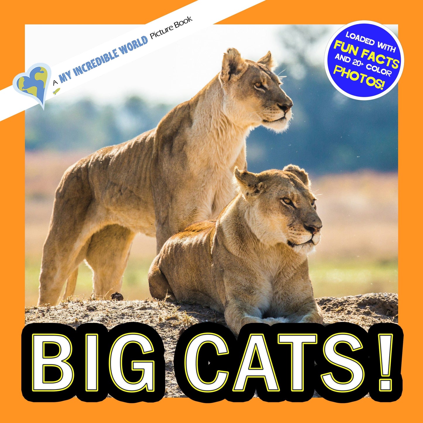 Big Cats! A My Incredible World Picture Book for Children