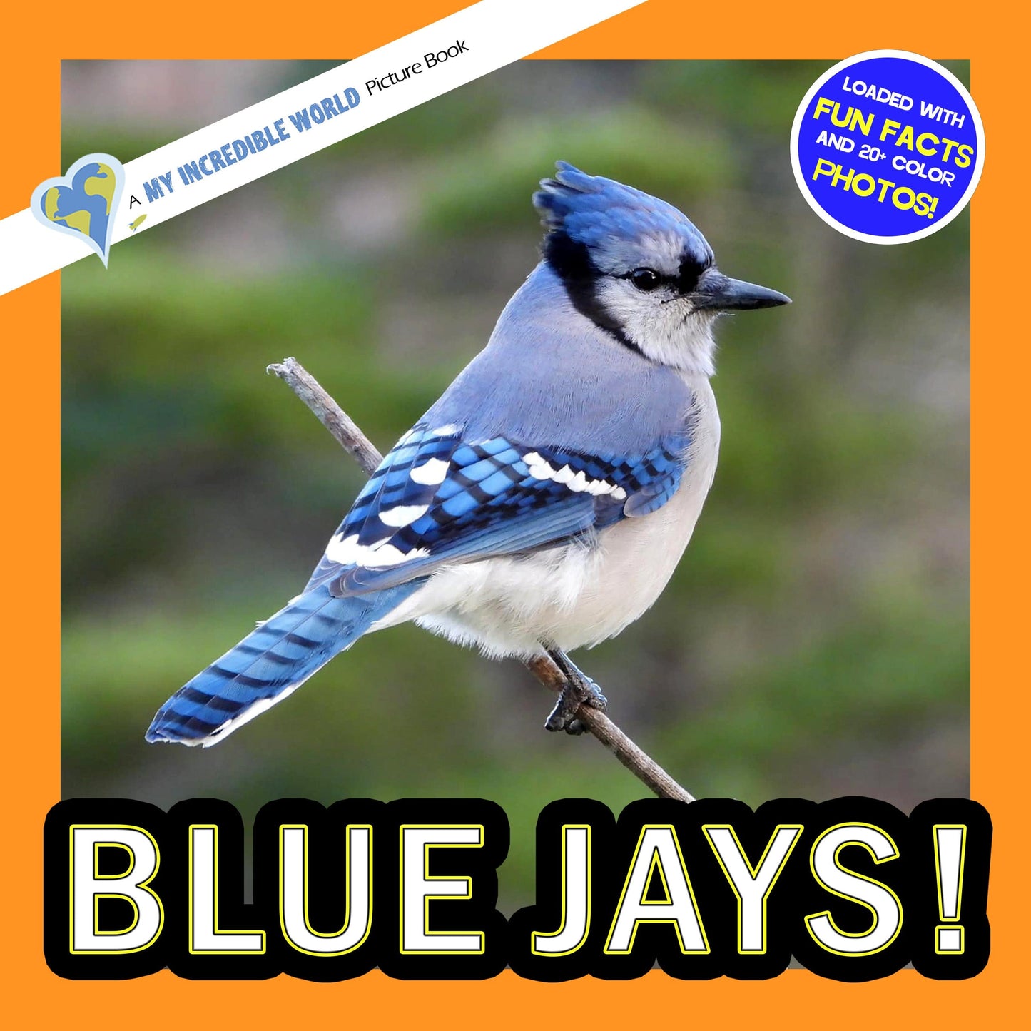 Blue Jays! A My Incredible World Picture Book for Children