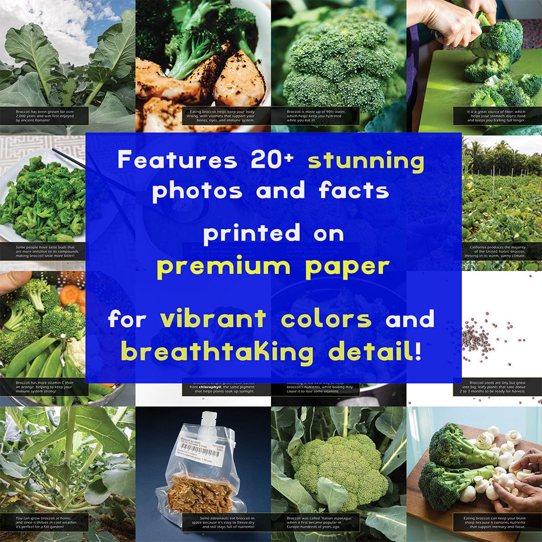 Broccoli! A My Incredible World Picture Book for Children