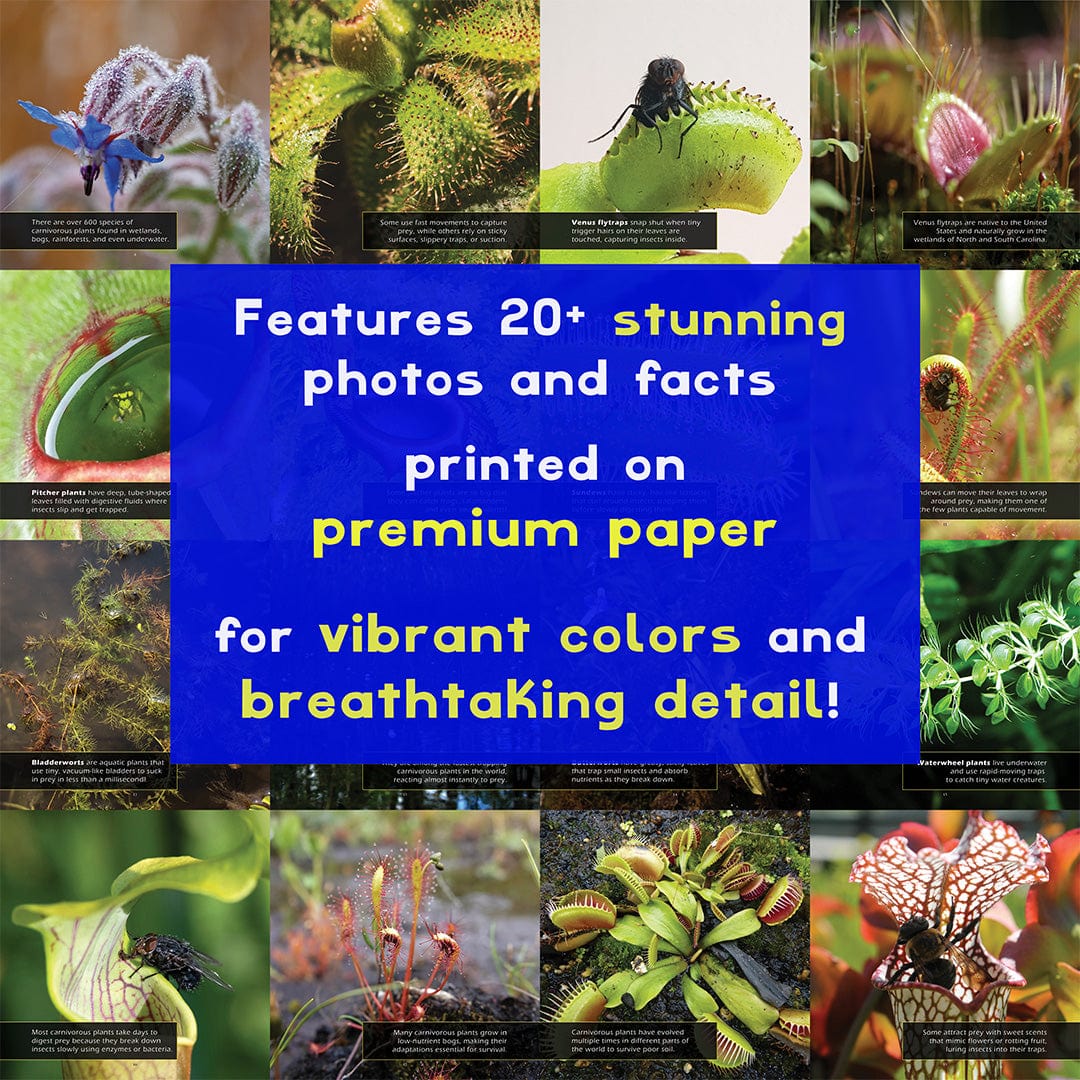 Carnivorous Plants! A My Incredible World Picture Book for Children