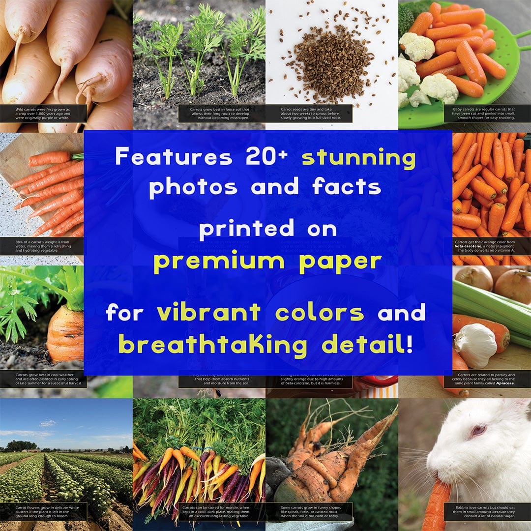 Carrots! A My Incredible World Picture Book for Children