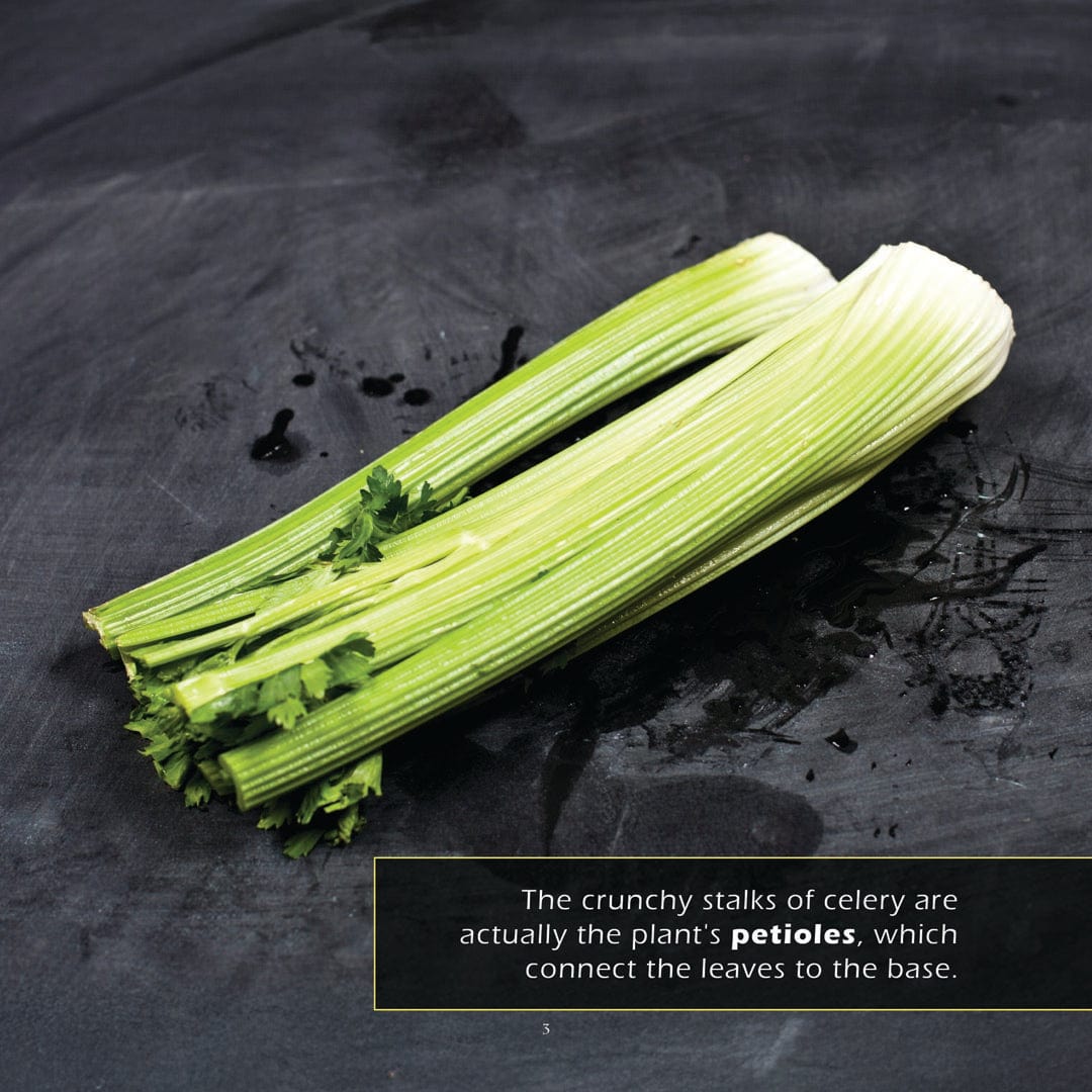 Celery! A My Incredible World Picture Book for Children
