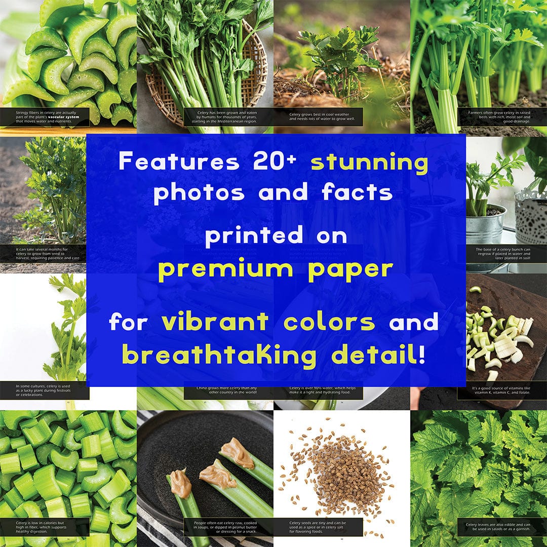 Celery! A My Incredible World Picture Book for Children