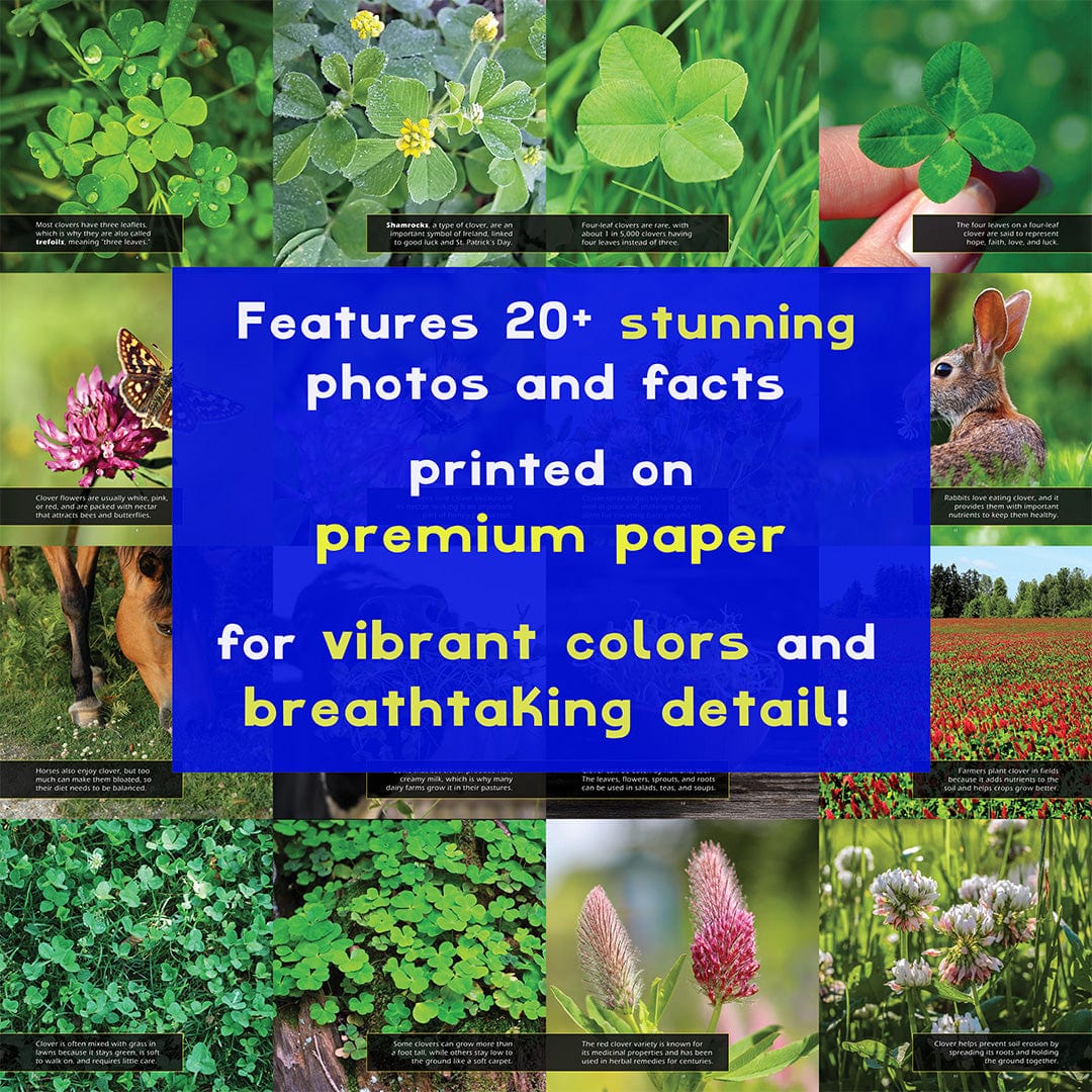 Clover! A My Incredible World Picture Book for Children