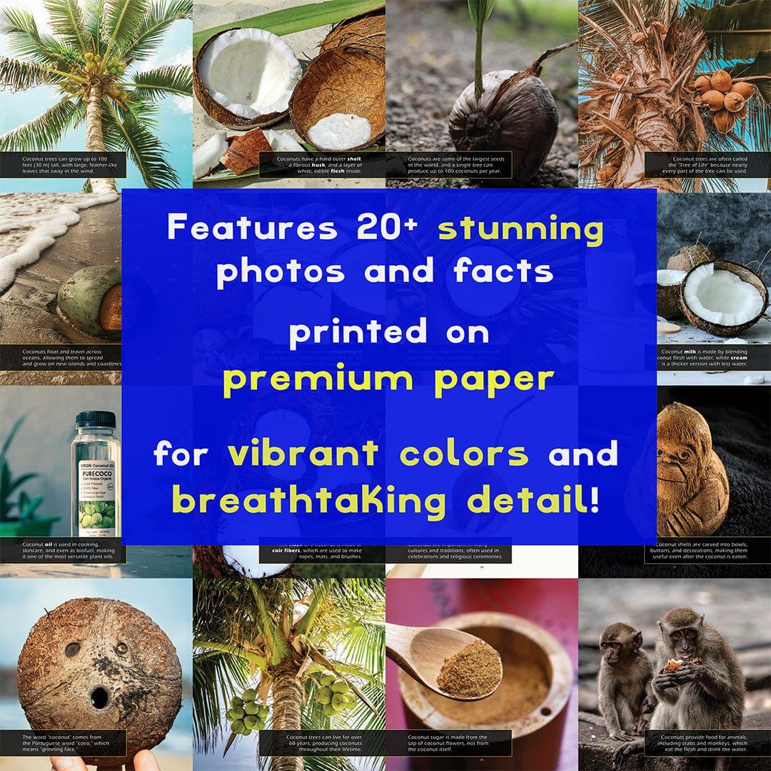 Coconuts! A My Incredible World Picture Book for Children