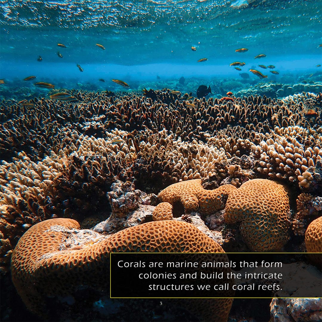 Coral Reefs: A My Incredible World Picture Book for Children