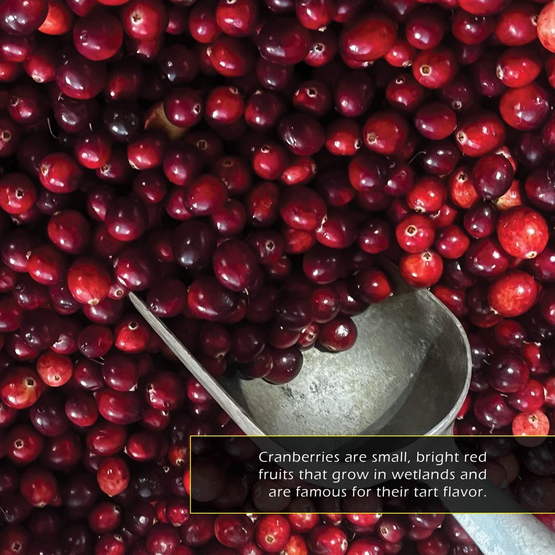 Cranberries! A My Incredible World Picture Book for Children