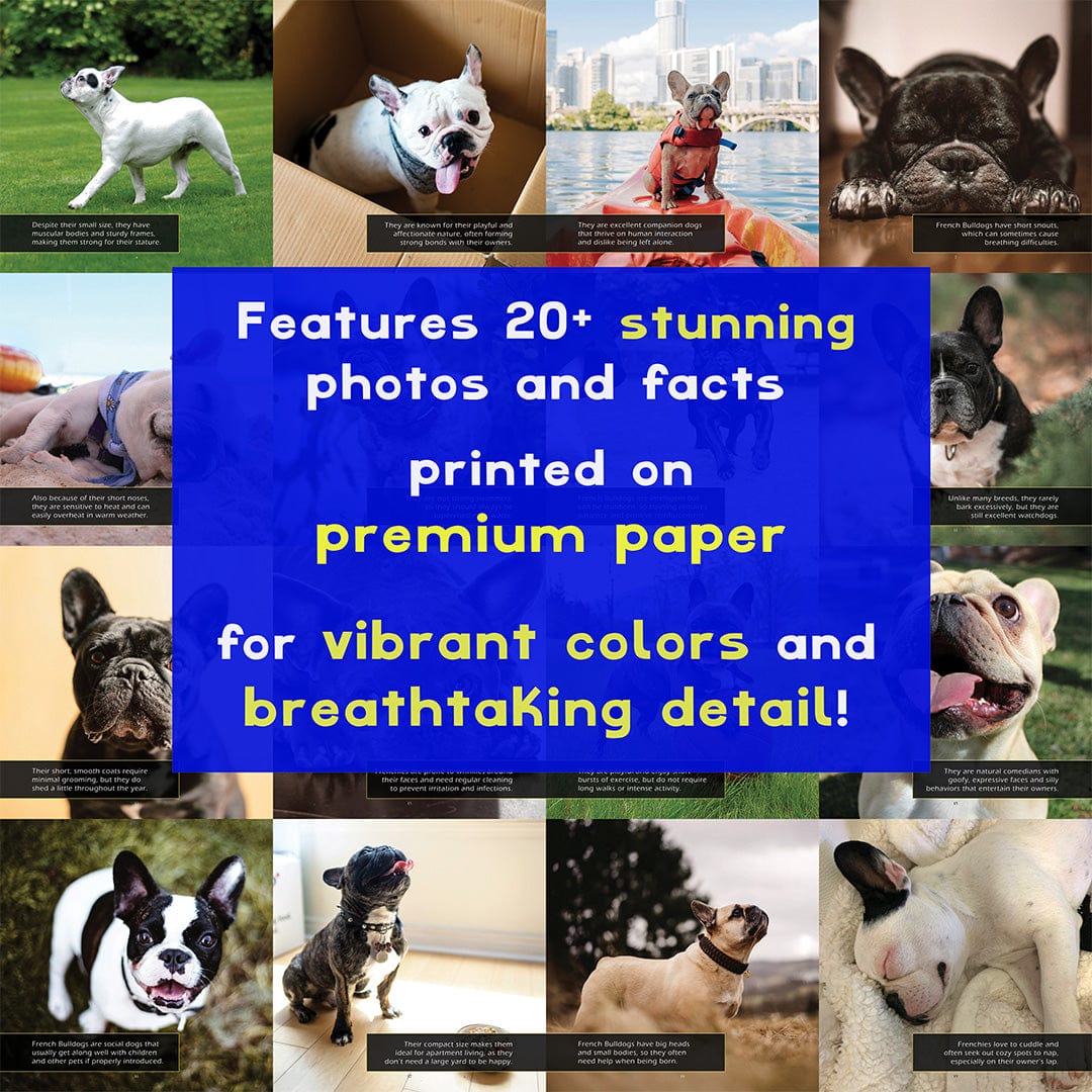 French Bulldogs! A My Incredible World Picture Book for Children