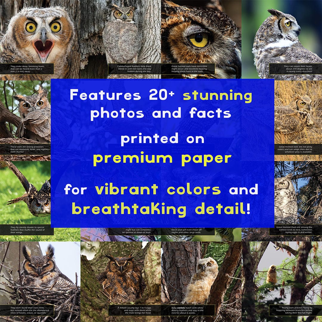 Great Horned Owls! A My Incredible World Picture Book for Children