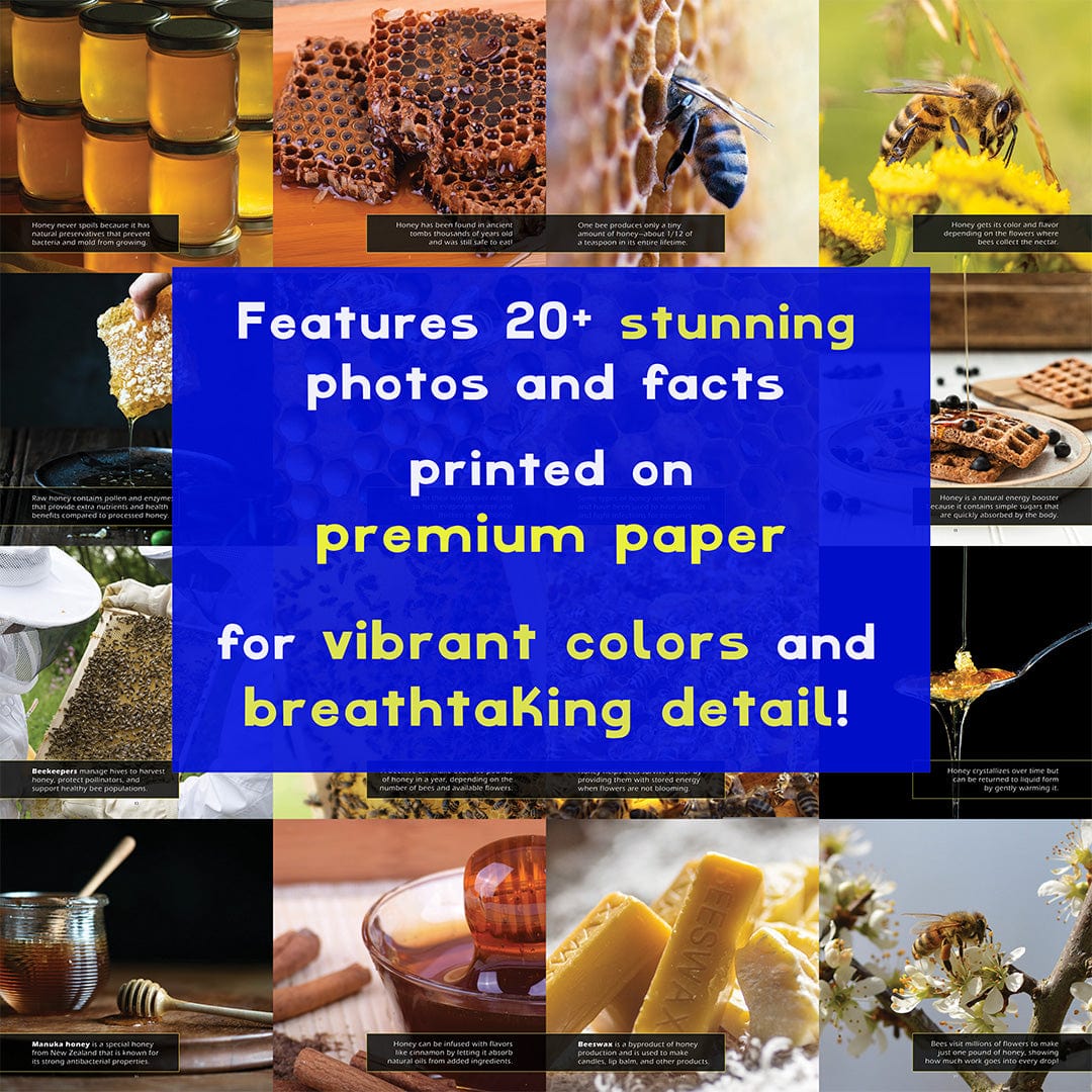 Honey! A My Incredible World Picture Book for Children