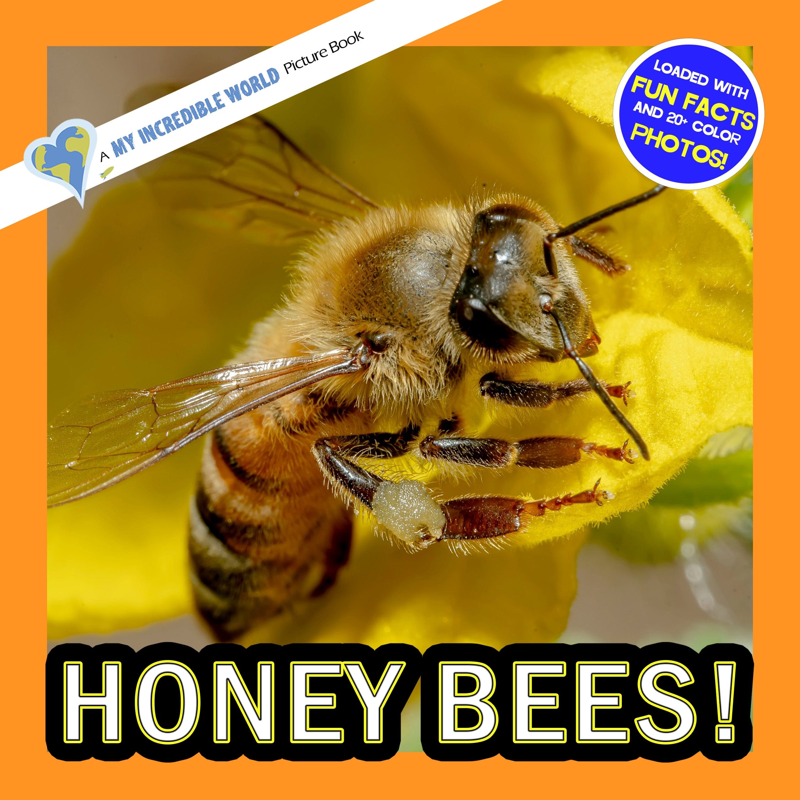 Honey Bees! A My Incredible World Picture Book for Children