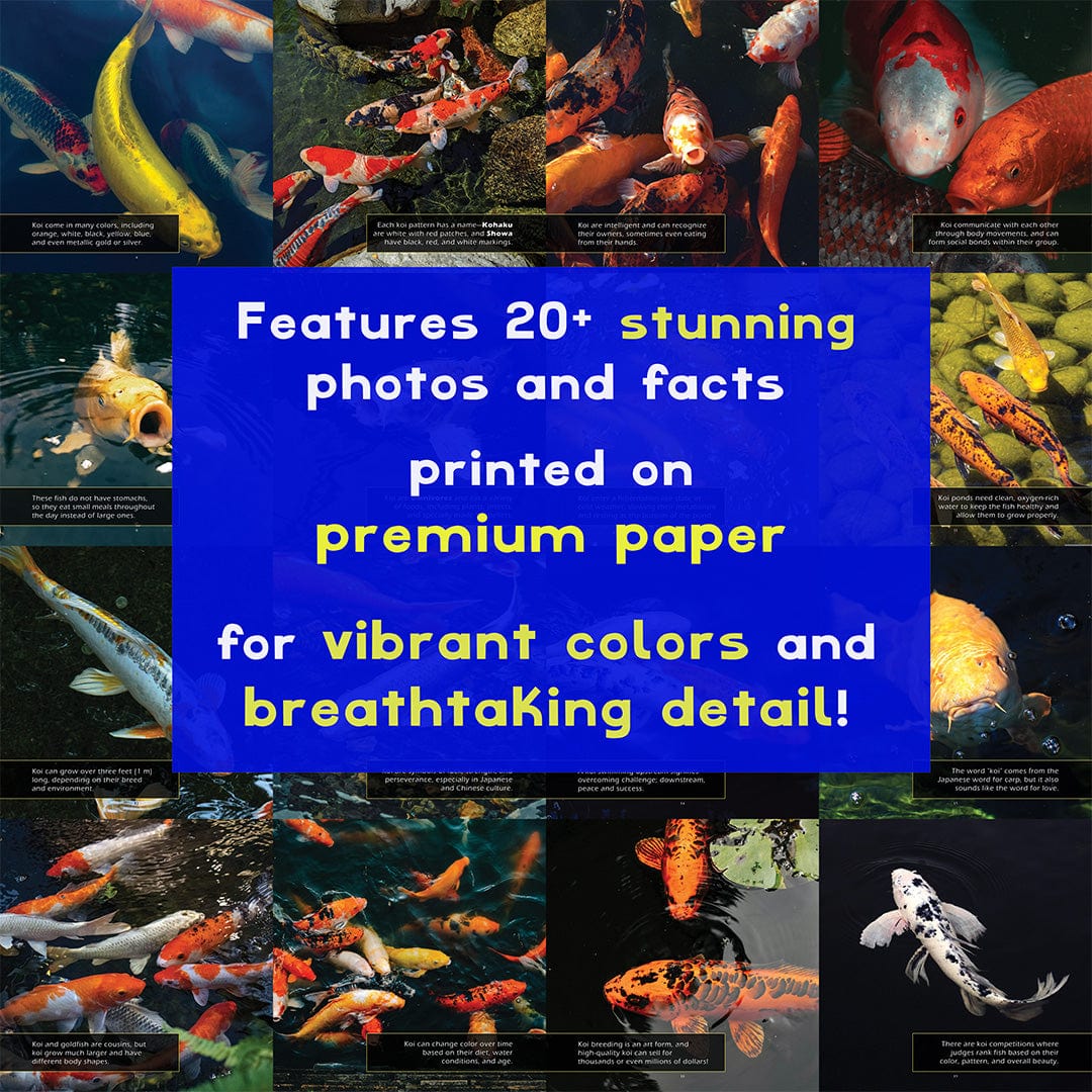 Koi! A My Incredible World Picture Book for Children